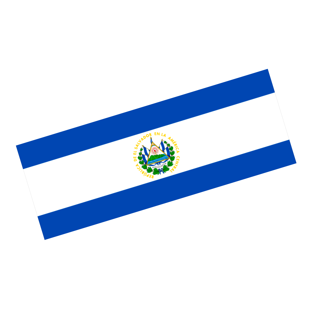 EL SAL SLAP Sticker