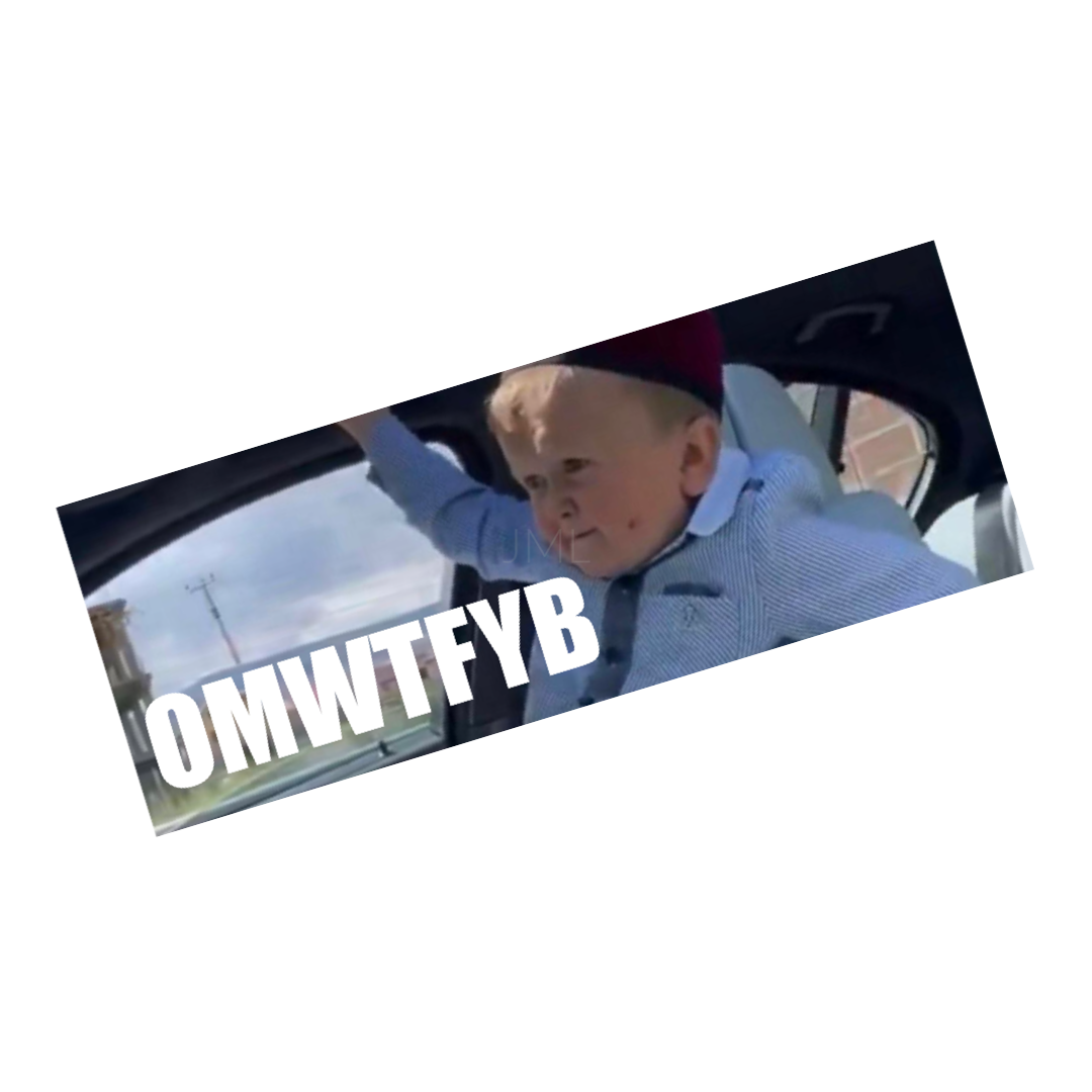 OMWTFYB SLAP Sticker
