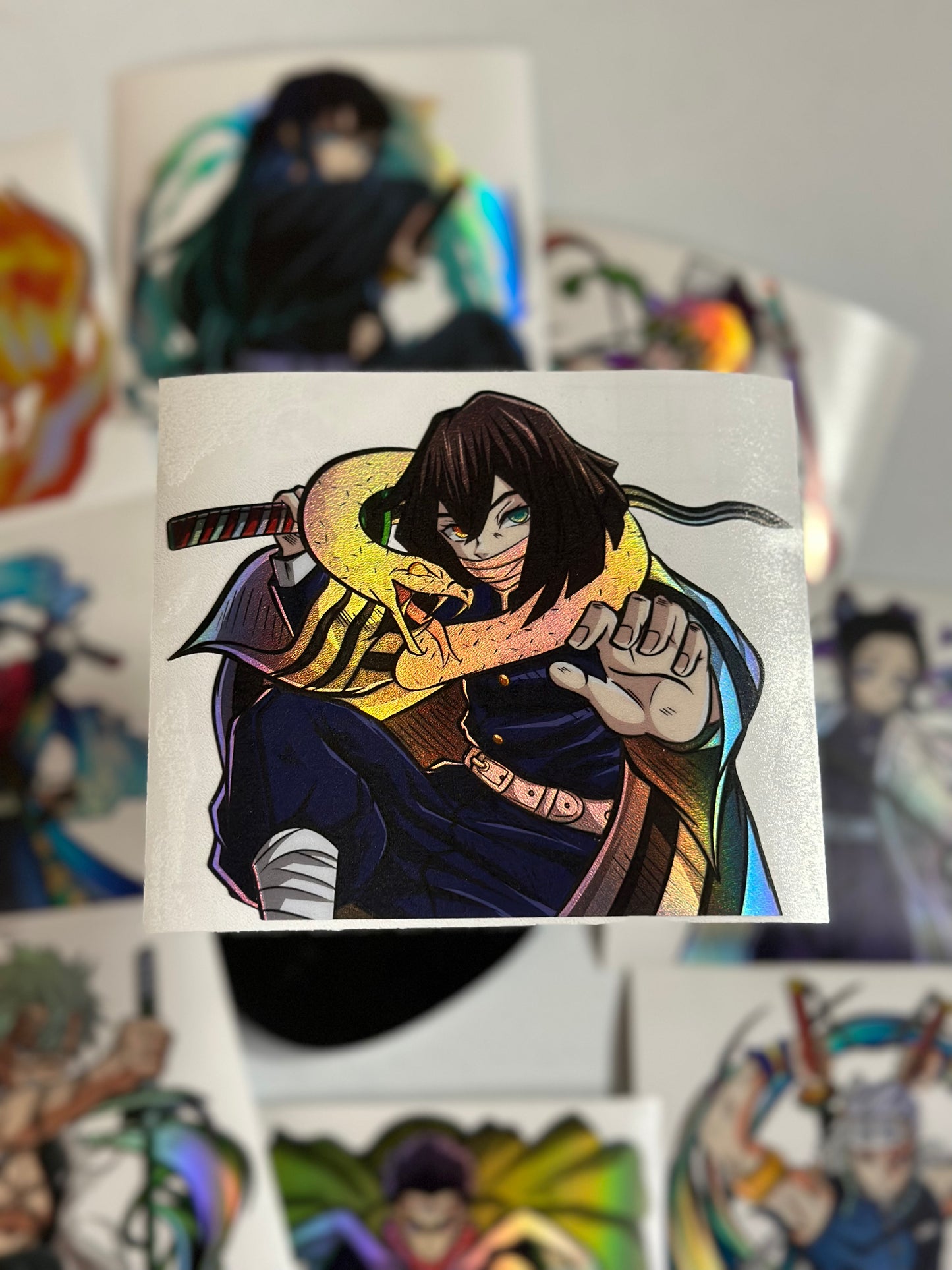 DS Snake Pillar Sticker